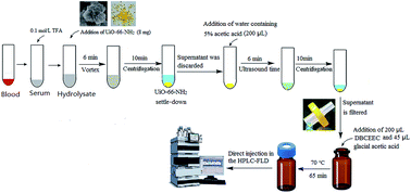 Graphical abstract: Sensitive and accurate determination of sialic acids in serum with the aid of dispersive solid-phase extraction using the zirconium-based MOF of UiO-66-NH2 as sorbent