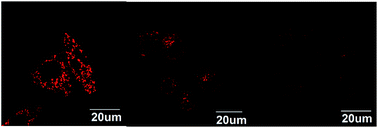 Graphical abstract: Near-infrared fluorescent probes with higher quantum yields and neutral pKa values for the evaluation of intracellular pH