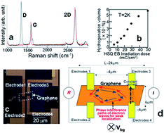 Graphical abstract: Spin phase protection in interference of electron spin waves in lightly hydrogenated graphene