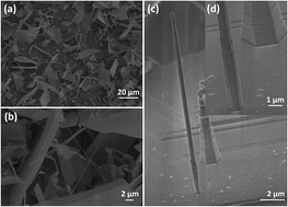 Graphical abstract: Synthesis of PbI2 nanowires for high sensitivity photodetectors