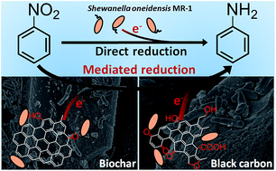 Graphical abstract: Improved bioreduction of nitrobenzene by black carbon/biochar derived from crop residues