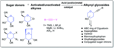 Graphical abstract: Advances in C-alkynylation of sugars and its application in organic synthesis