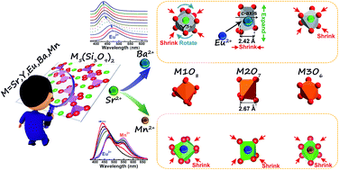 Graphical abstract: Structural evolution induced preferential occupancy of designated cation sites by Eu2+ in M5(Si3O9)2 (M = Sr, Ba, Y, Mn) phosphors