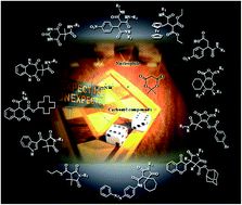 Graphical abstract: Isocyanide and Meldrum's acid-based multicomponent reactions in diversity-oriented synthesis: from a serendipitous discovery towards valuable synthetic approaches