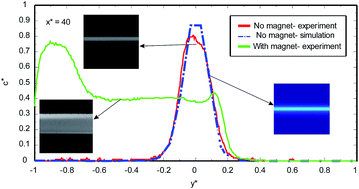 Graphical abstract: Mass transport improvement in microscale using diluted ferrofluid and a non-uniform magnetic field