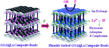 Graphical abstract: A facile synthesis of metal ion-imprinted graphene oxide/alginate hybrid biopolymeric beads for enhanced fluoride sorption