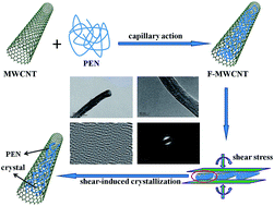Graphical abstract: Crystallization behaviors of polyarylene ether nitrile filled in multi-walled carbon nanotubes
