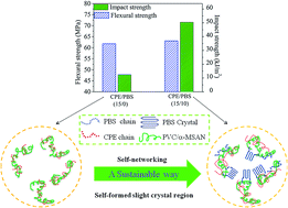 Graphical abstract: Utilizing biodegradable poly(butylene succinate) to synergistically toughen polymer blends without sacrificing stiffness