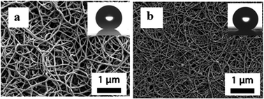 Graphical abstract: Superhydrophobic polysiloxane filament growth on non-activated polymer coatings