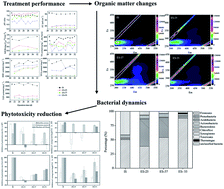 Graphical abstract: Micro-aerobic digestion of high-solid anaerobically digested sludge: further stabilization, microbial dynamics and phytotoxicity reduction