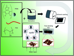 Graphical abstract: Mussel inspired locomotive: the moisture induced actuation in a poly(vinyl alcohol) film containing melanin-like dopamine nano spheres