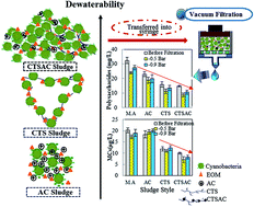 Graphical abstract: Significantly enhanced dewatering performance of drinking water sludge from a coagulation process using a novel chitosan–aluminum chloride composite coagulant in the treatment of cyanobacteria-laden source water