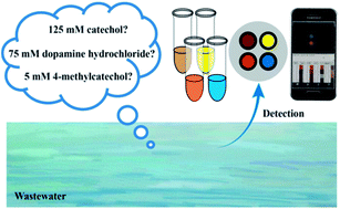 Graphical abstract: A mobile laboratory for rapid on-site analysis of catechols from water samples with real-time results production