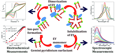 Graphical abstract: Detailed study of interactions between eosin yellow and gemini pyridinium surfactants