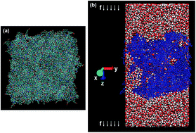 Graphical abstract: Molecular dynamic simulations of pressure-driven water transport through polyamide nanofiltration membranes at different membrane densities