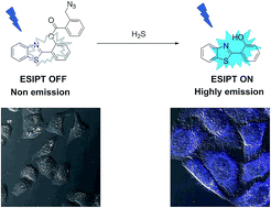 Graphical abstract: An ESIPT based fluorescent probe for imaging hydrogen sulfide with a large turn-on fluorescence signal