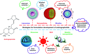 Graphical abstract: Strategies for formulation development of andrographolide