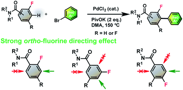 Graphical abstract: Reactivity of (poly)fluorobenzamides in palladium-catalysed direct arylations