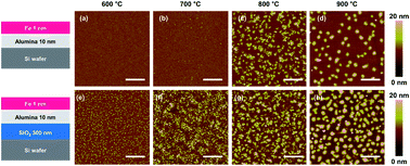 Graphical abstract: Effects of a SiO2 sub-supporting layer on the structure of a Al2O3 supporting layer, formation of Fe catalyst particles, and growth of carbon nanotube forests