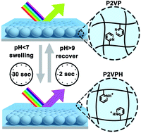 Graphical abstract: Ultrathin polymer gel-infiltrated monolayer colloidal crystal films for rapid colorimetric chemical sensing