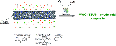 Graphical abstract: Biocatalytic approach as alternative to chemical synthesis of polyaniline/carbon nanotube composite with enhanced electrochemical properties