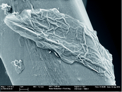 Graphical abstract: Graphene-based fabrics and their applications: a review