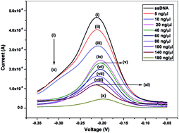 Graphical abstract: A ZnO–CNT nanocomposite based electrochemical DNA biosensor for meningitis detection