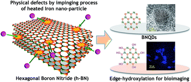 Graphical abstract: Defect engineering route to boron nitride quantum dots and edge-hydroxylated functionalization for bio-imaging