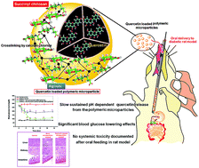 Graphical abstract: Oral delivery of quercetin to diabetic animals using novel pH responsive carboxypropionylated chitosan/alginate microparticles