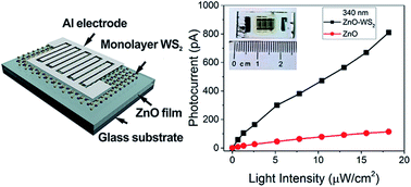 Graphical abstract: ZnO–WS2 heterostructures for enhanced ultra-violet photodetectors