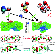 Graphical abstract: Why HS− and CN− can be detected by different chemosensors with similar structures: a quantum mechanics and molecular dynamics study