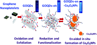 Graphical abstract: Ethylene diamine mediated cobalt nanoparticle studded graphene oxide quantum dots with tunable photoluminescence properties