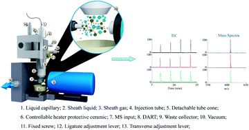 Graphical abstract: Thermal-assisted gasification injector for analyzing high-salt solution samples: a novel device developed for online coupling of liquid chromatography with direct analysis in real time mass spectrometry