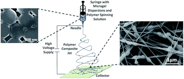 Graphical abstract: Confinement of thermoresponsive microgels into fibres via colloidal electrospinning: experimental and statistical analysis