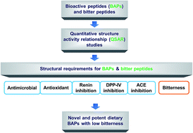 Graphical abstract: Learnings from quantitative structure–activity relationship (QSAR) studies with respect to food protein-derived bioactive peptides: a review