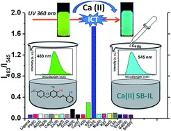 Graphical abstract: A ratiometric and selective fluorescent chemosensor for Ca(ii) ions based on a novel water-soluble ionic Schiff-base