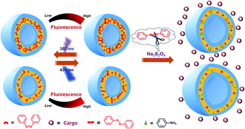 Graphical abstract: Novel cyclic azobenzene-containing vesicles: photo/reductant responsiveness and potential applications in colon disease treatment