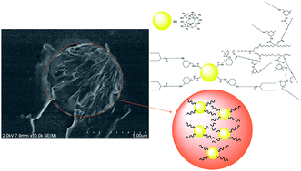 Graphical abstract: Soy-castor oil based polyurethanes with octaphenylsilsesquioxanetetraol double-decker silsesquioxane in the main chains