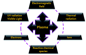 Graphical abstract: Formation of reactive nitrogen species including peroxynitrite in physiological buffer exposed to cold atmospheric plasma