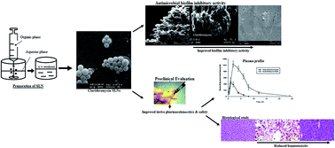 Graphical abstract: Implications of designing clarithromycin loaded solid lipid nanoparticles on their pharmacokinetics, antibacterial activity and safety