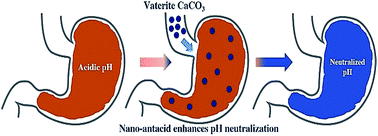 Graphical abstract: Nano-antacids enhance pH neutralization beyond their bulk counterparts: synthesis and characterization