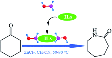 Graphical abstract: Reactivity of hydroxylamine ionic liquid salts in the direct synthesis of caprolactam from cyclohexanone under mild conditions