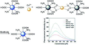 Graphical abstract: Cobalt(ii) ions detection using carbon dots as an sensitive and selective fluorescent probe