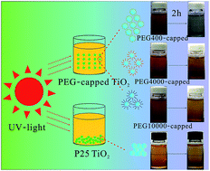 Graphical abstract: Molecular weight effects of PEG on the crystal structure and photocatalytic activities of PEG-capped TiO2 nanoparticles