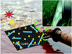 Graphical abstract: Novel RGO–ZnWO4–Fe3O4 nanocomposite as high performance visible light photocatalyst