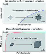 Graphical abstract: Surface stabilization determines a classical versus non-classical nucleation pathway during particle formation