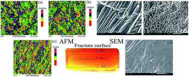 Graphical abstract: Self-gradient mechanism, morphology and damping analysis of a thickness continuous gradient epoxy–polyurethane interpenetrating polymer network