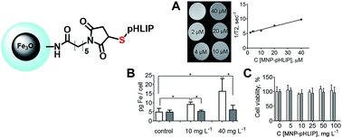 Graphical abstract: pHLIP-modified magnetic nanoparticles for targeting acidic diseased tissue