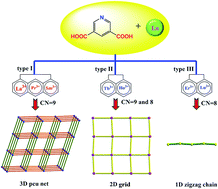 Graphical abstract: From 1D to 3D lanthanide coordination polymers constructed with pyridine-3,5-dicarboxylic acid: synthesis, crystal structures, and catalytic properties