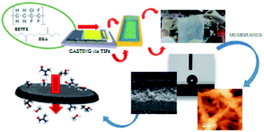 Graphical abstract: ECTFE membranes produced by non-toxic diluents for organic solvent filtration separation